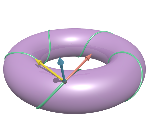 Torus (example of a manifold) with geodesic