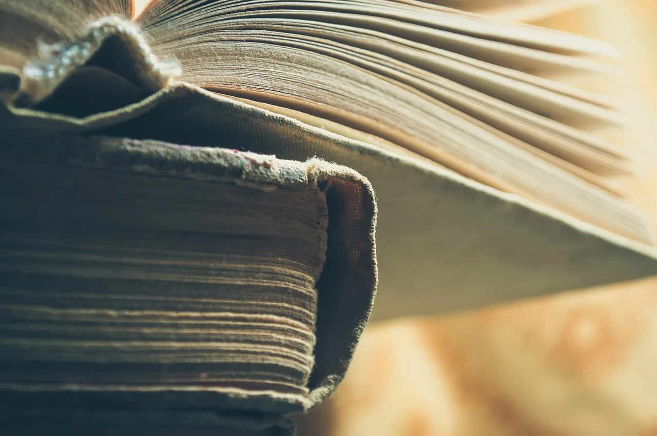 積読の本の山